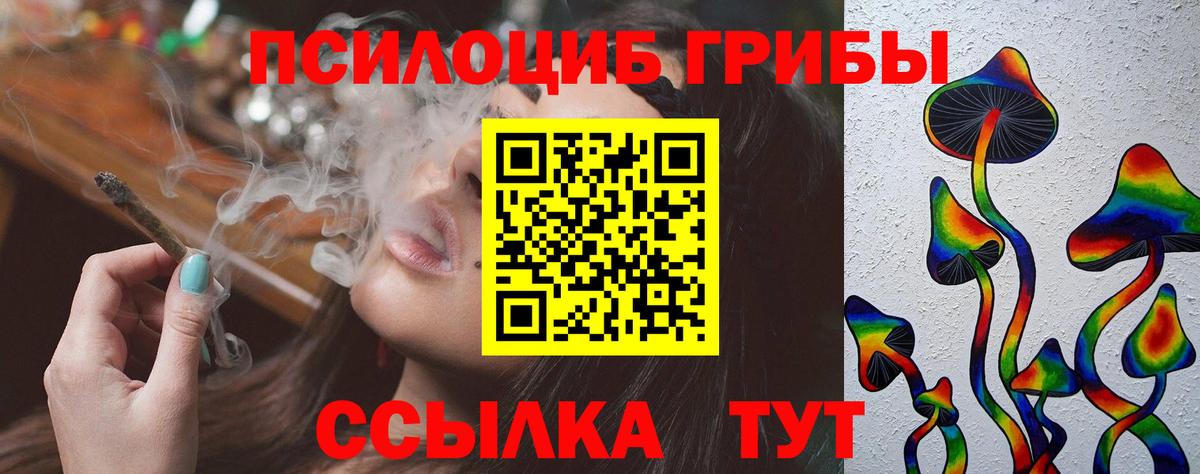 Галлюциногенные грибы Psilocybine cubensis Артём